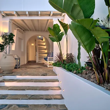 Hotel Stelia Mare Boutique 4*